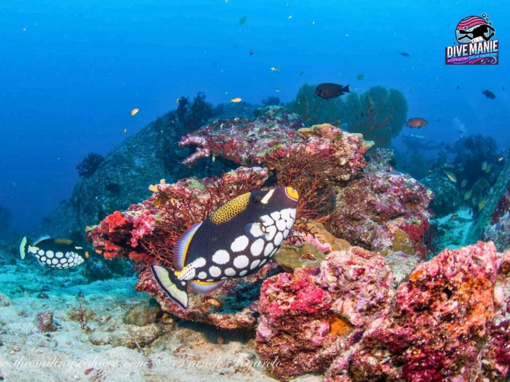Khaolak Dive Resort Кхаулак Экстерьер фото