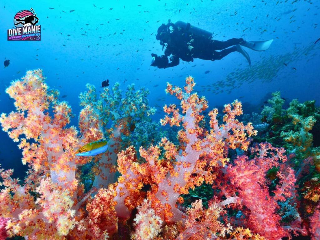 Khaolak Dive Resort Кхаулак Экстерьер фото