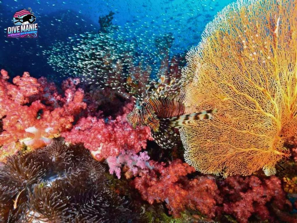Khaolak Dive Resort Кхаулак Экстерьер фото